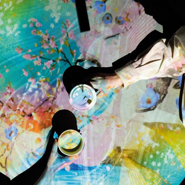 “光の茶室”で抹茶や和菓子とともに幻想的な世界に浸る！ おでかけ体感スポット