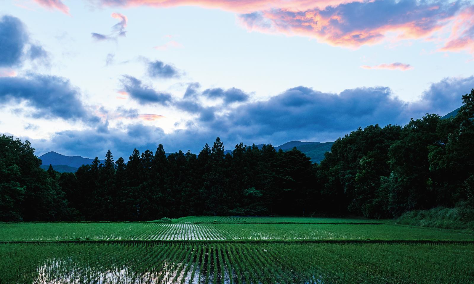 土に、生き物に、美食に触れる“林間学校”のような旅。栃木、那須「リゾナーレ那須」