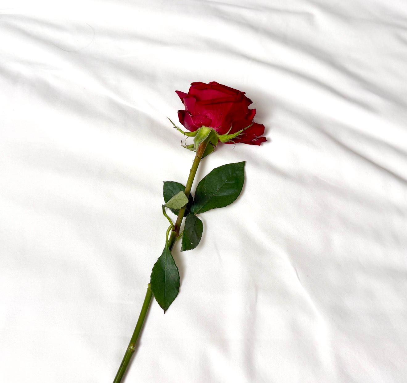 【COVER STORY】なにわ男子・藤原丈一郎さんが約2年半ぶりにソロ表紙に！ 等身大の無邪気さとオトナの色気を纏った“30歳の現在地”を表現