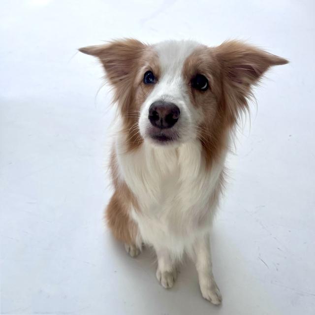 【From Editors】Aぇ! group連載「Aぇ! 男たち」第8回。意外なパステルファッション＆気分屋ワンちゃんにも優しさMAXな正門良規さんの撮影裏話