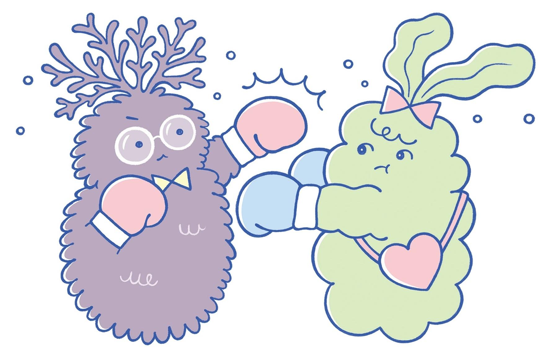 もずくvsめかぶ、腸活エリートたちの頂上決戦!? 両者の違いは…？