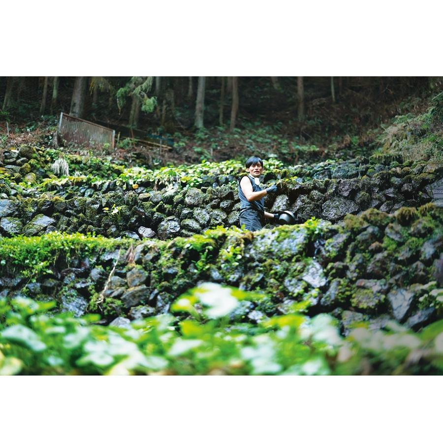 都内で自然を満喫しよう。電車で行く“春の奥多摩”