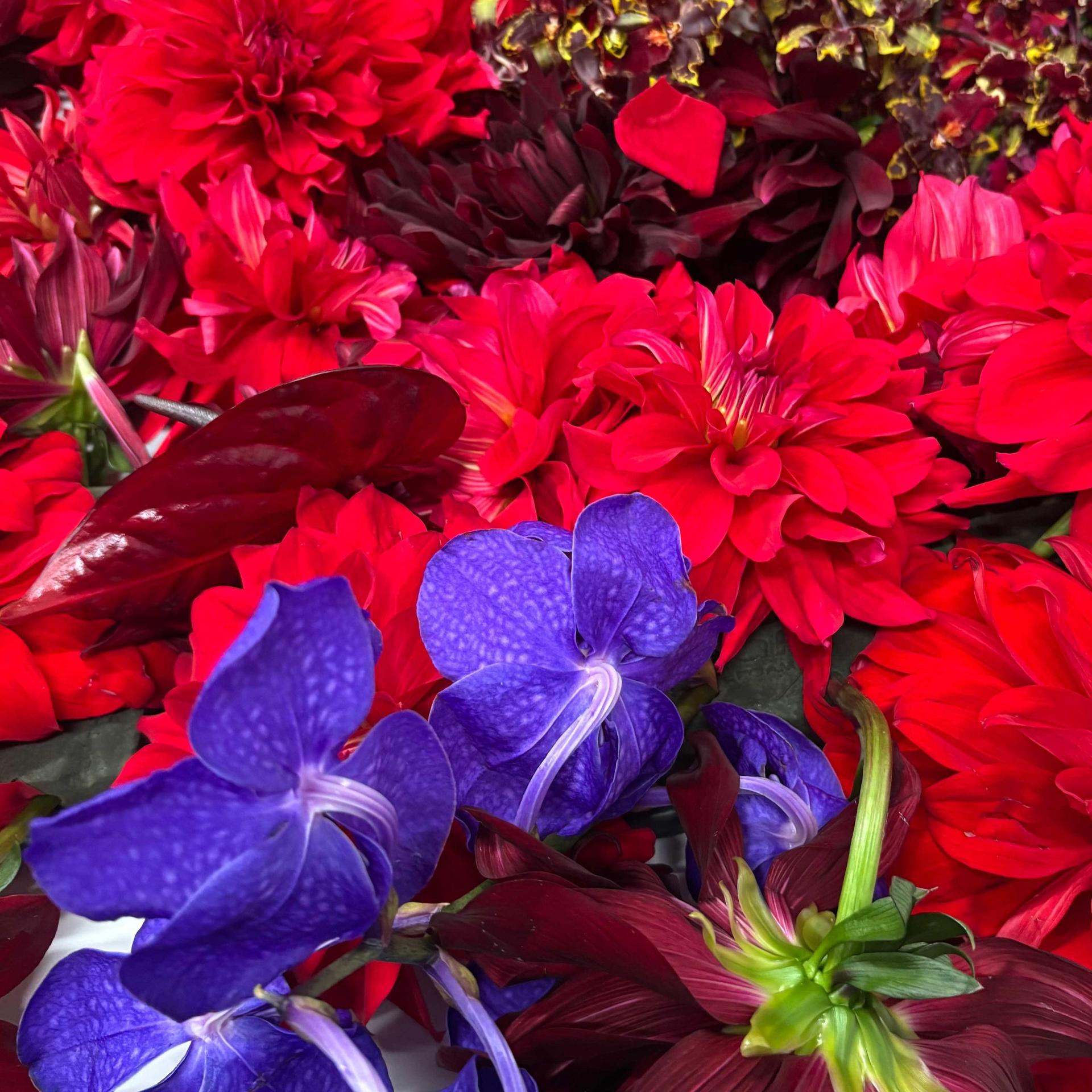 【COVER STORY】この世に舞い降りた、“美の化身”！ 鬼レベルに麗しい永瀬廉さんのフォトストーリー