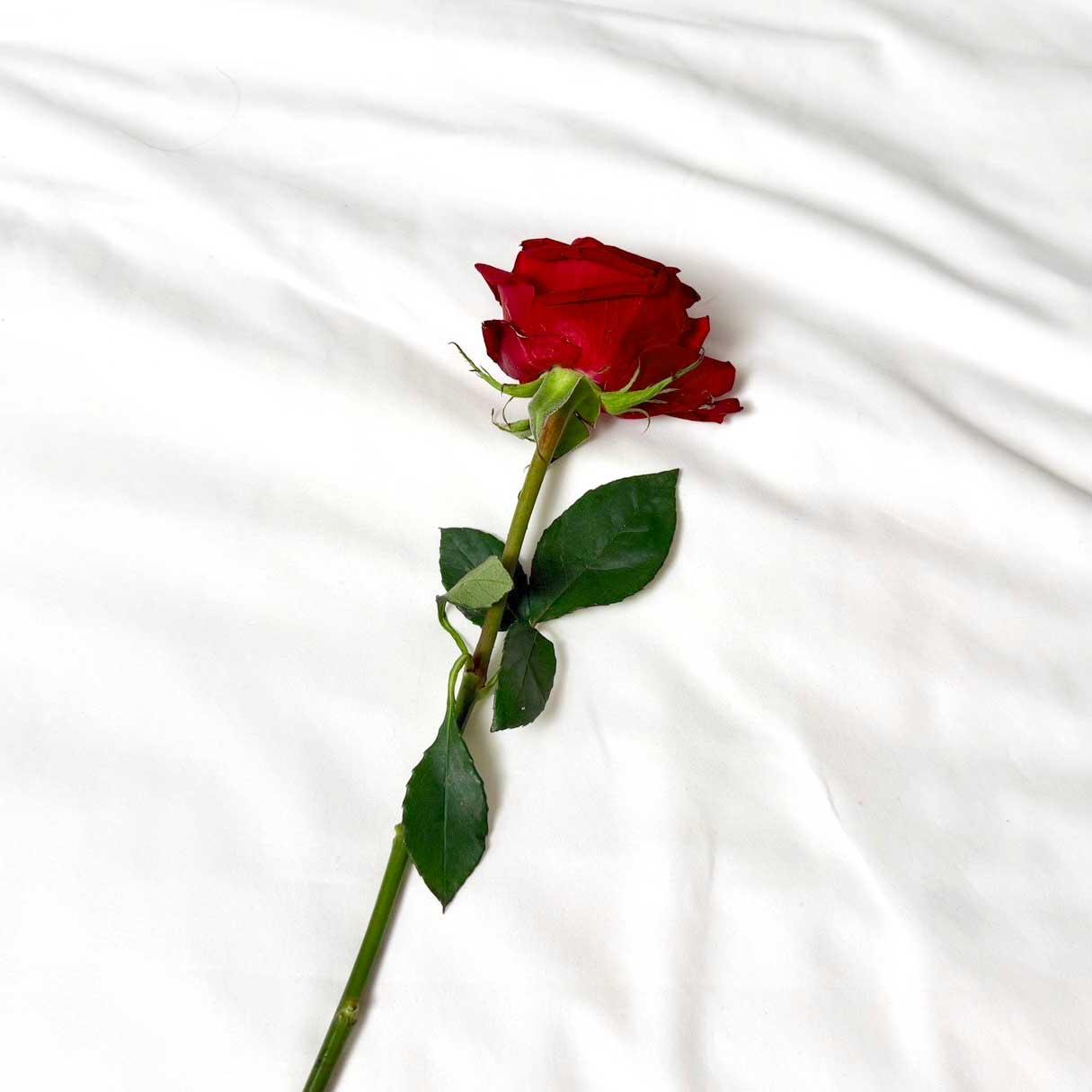 【COVER STORY】なにわ男子・藤原丈一郎さんが約2年半ぶりにソロ表紙に! 等身大の無邪気さとオトナの色気を纏った“30歳の現在地”を表現