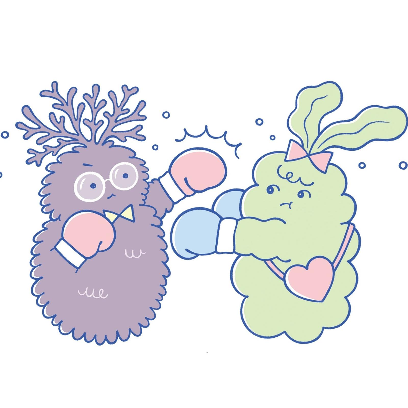 もずくvsめかぶ、腸活エリートたちの頂上決戦!? 両者の違いは…?