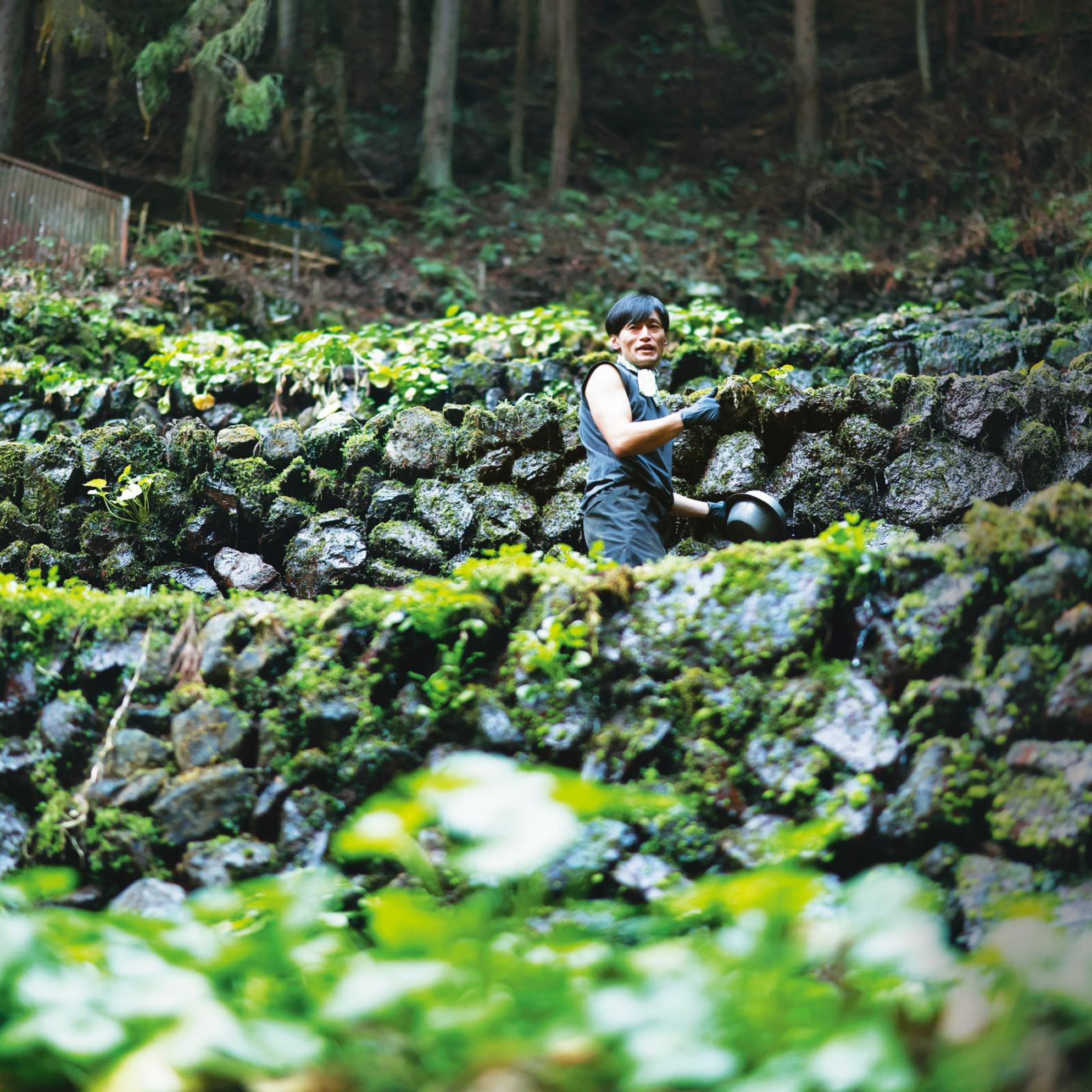 都内で自然を満喫しよう。電車で行く“春の奥多摩”
