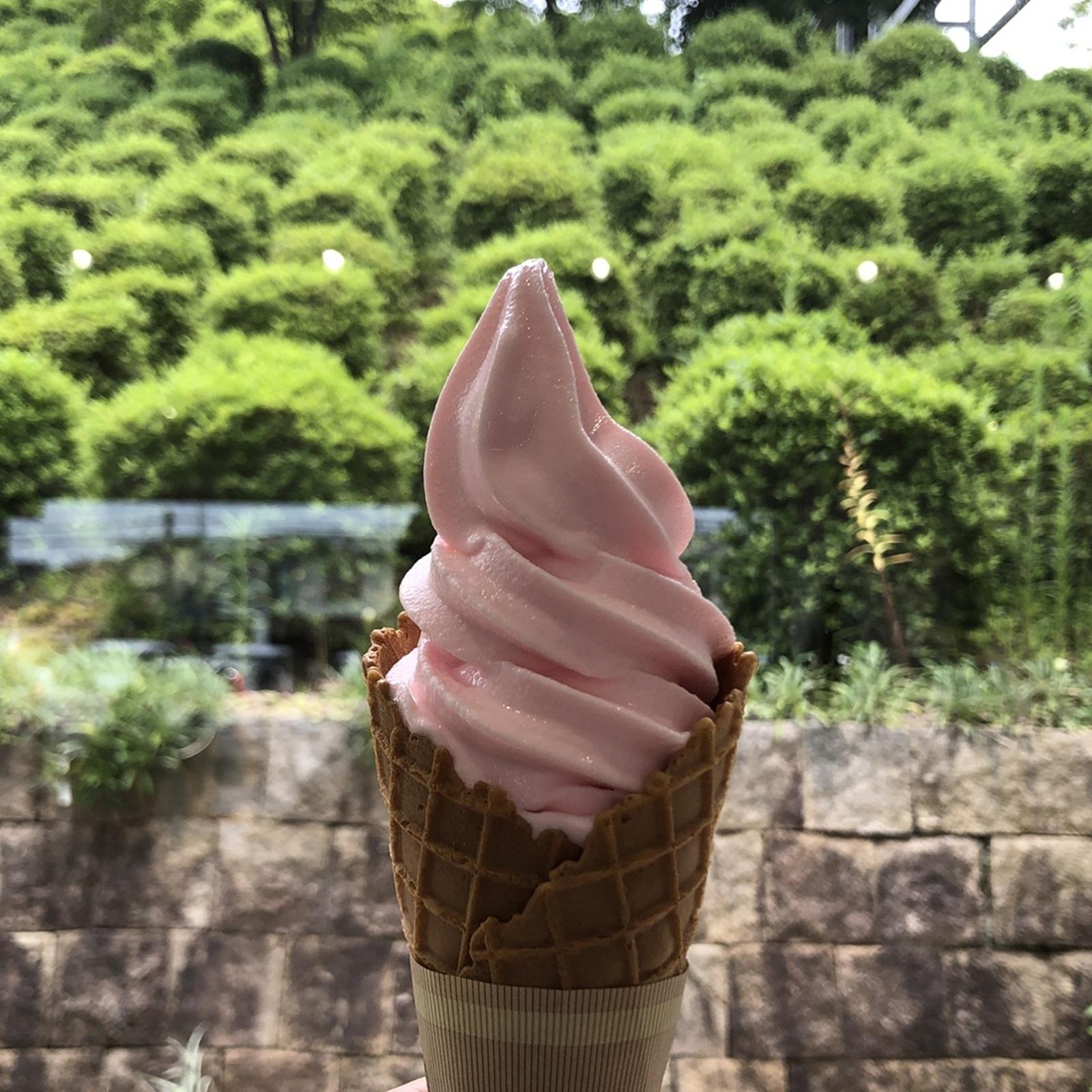 意外性たっぷりなローカルフレーバー。道の駅で出合う“特産アイス”