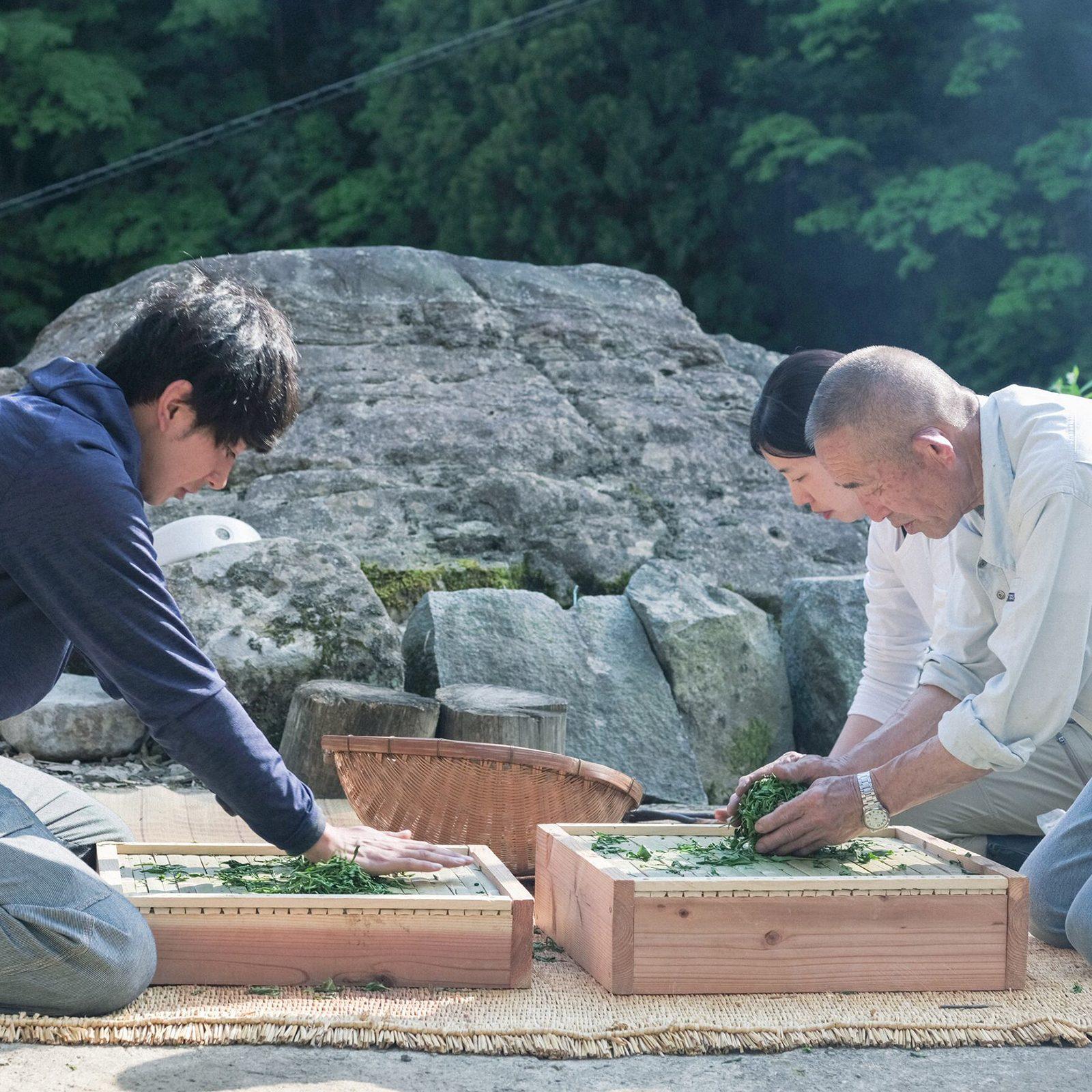 いま、飲むべき「日本のお茶最前線」をプロ3人が語り尽くす!