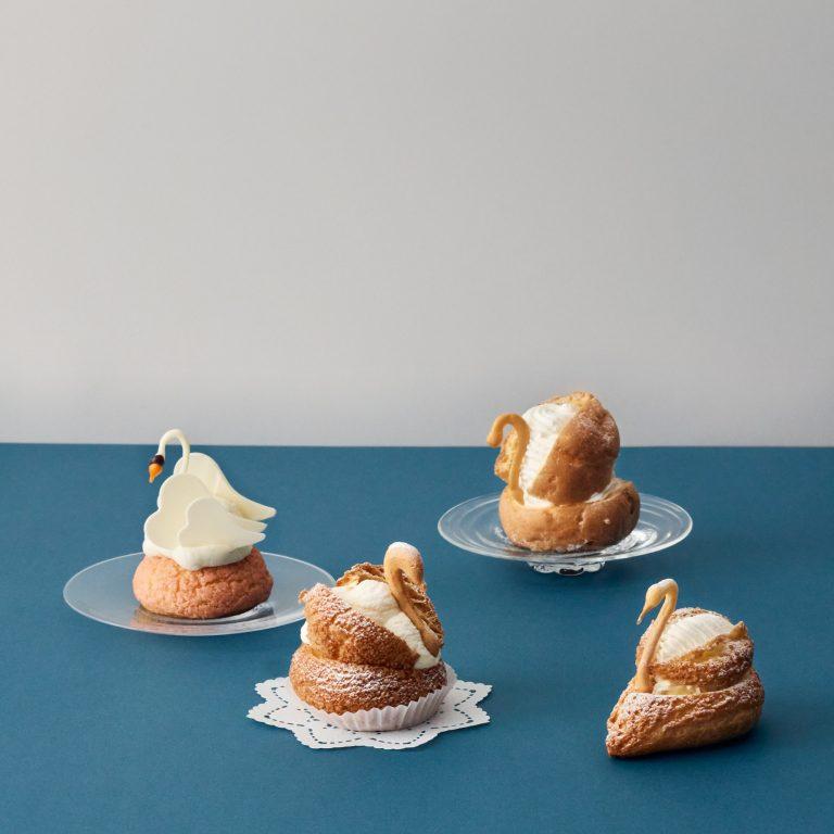 連れて帰るならどの子? 魅惑のスワンシューたち